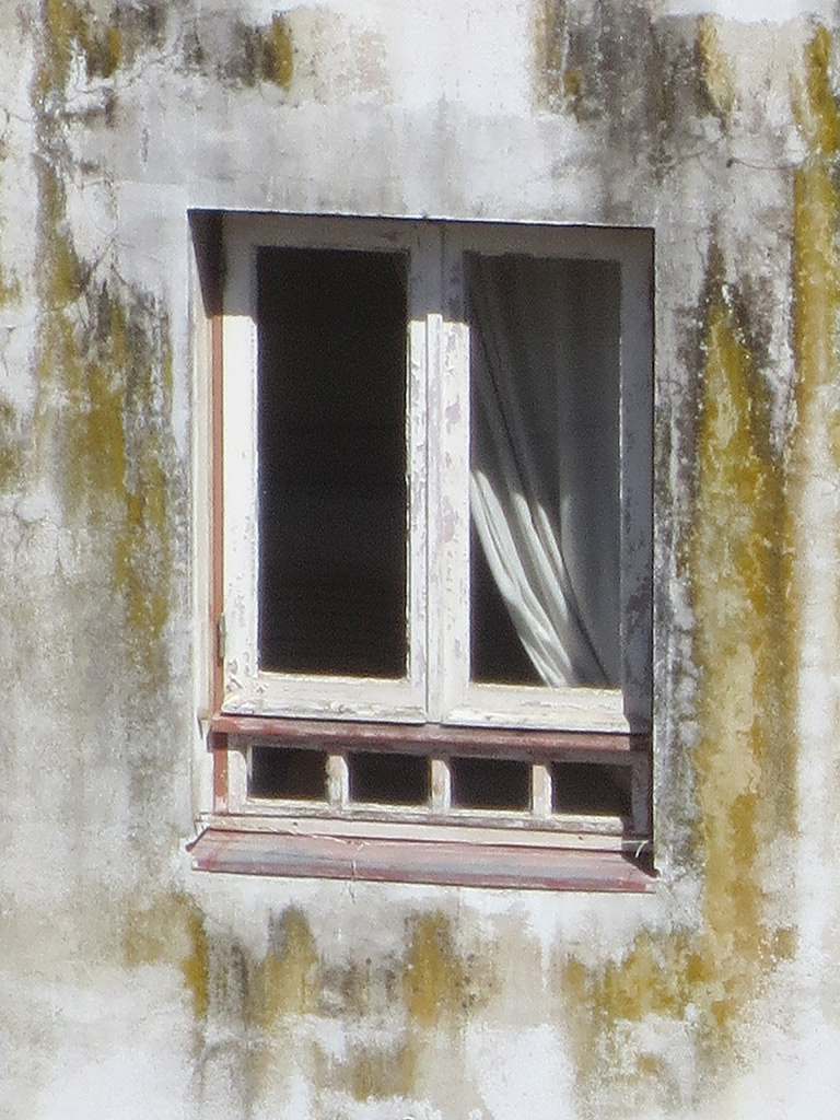 A window