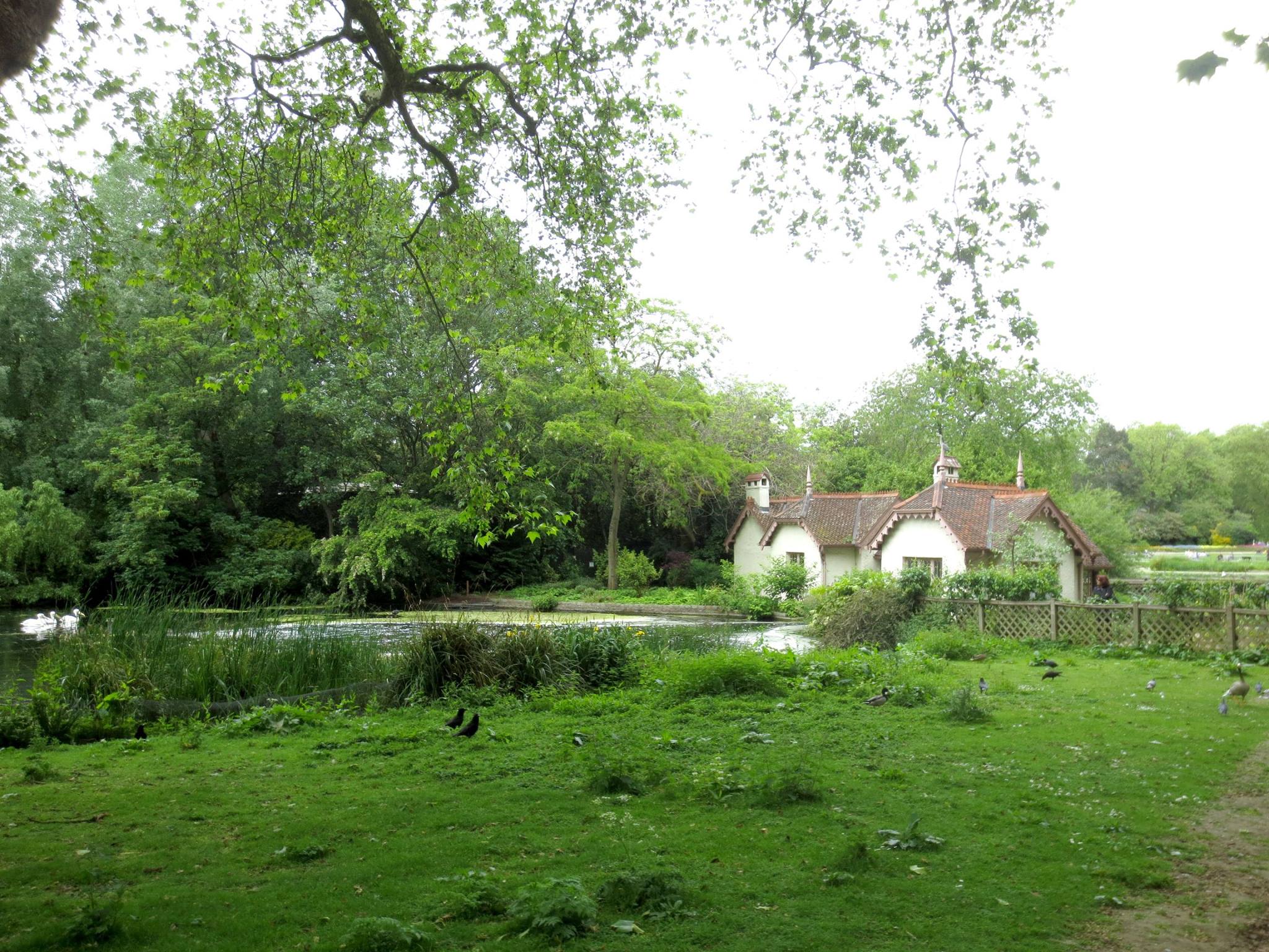 Duck Island Cottage