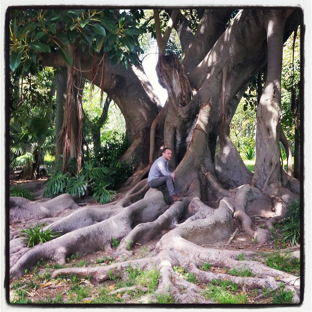 Gary in a Tree