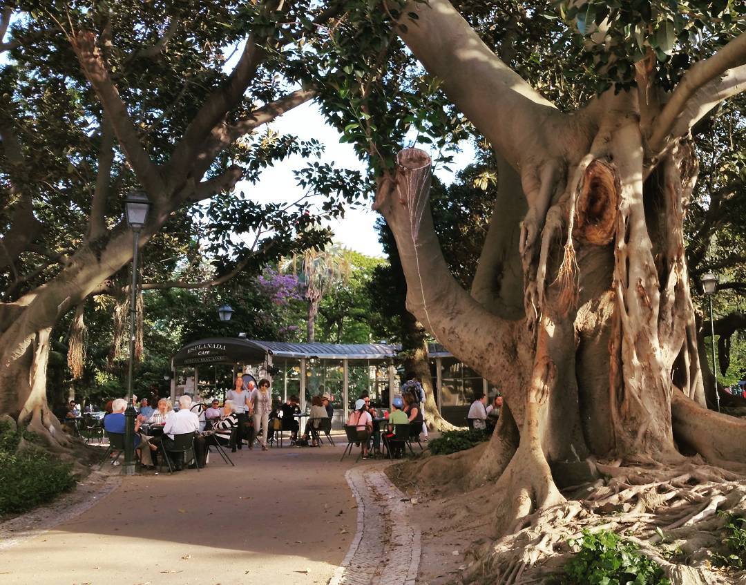 Esplanada Cafe