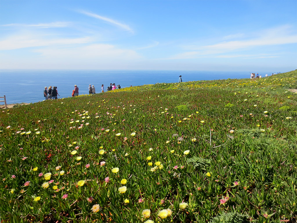 Cabo da Roca