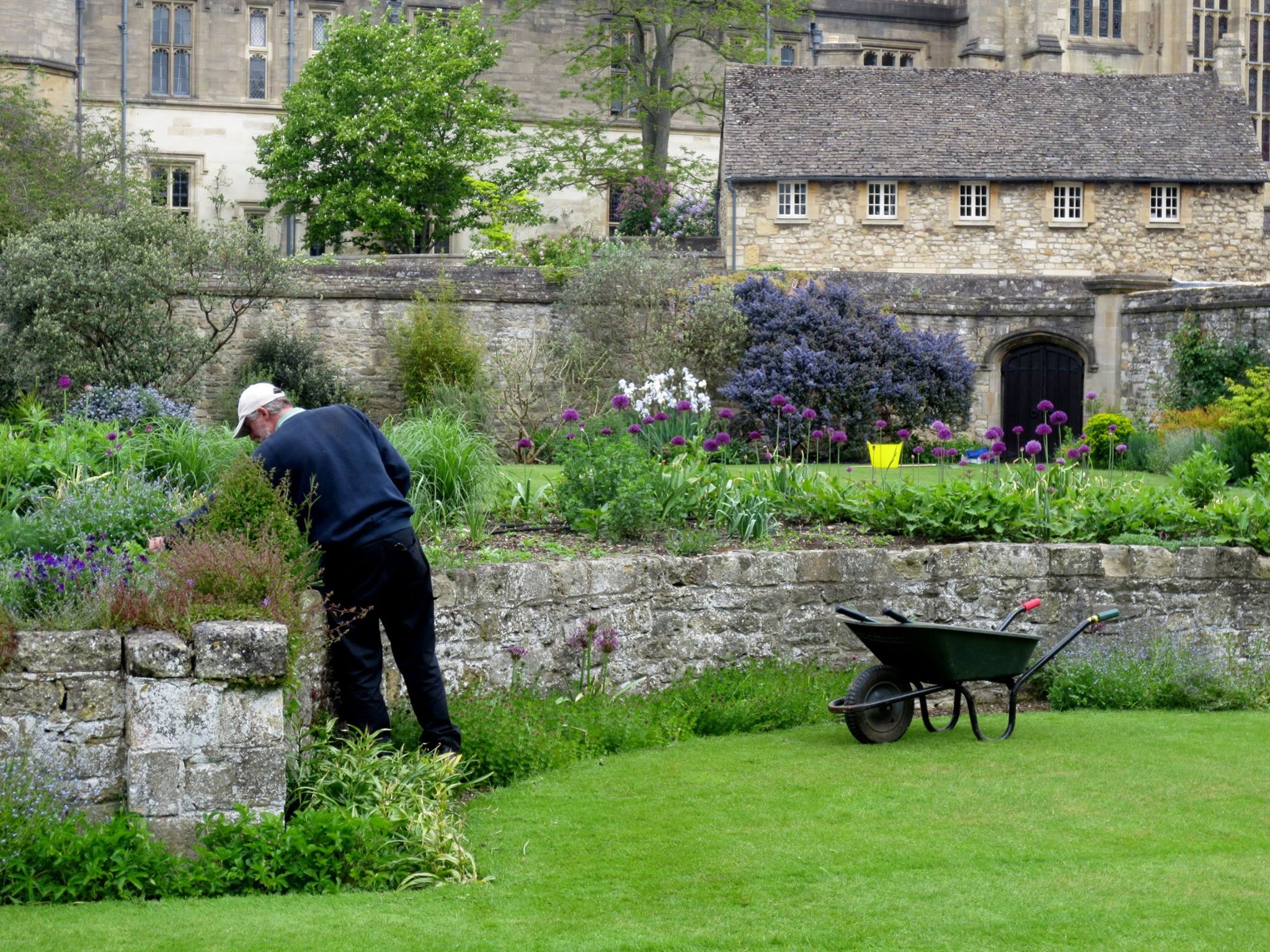 Oxford Gardener