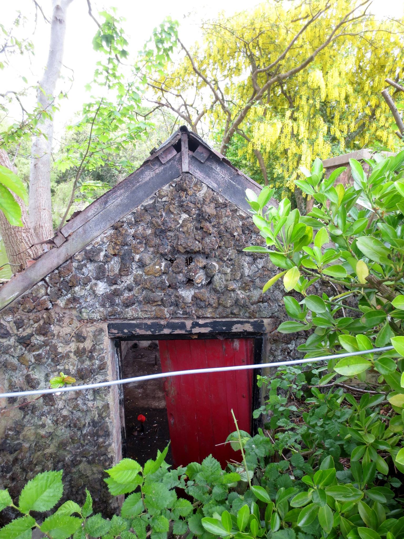 Abandoned Shed