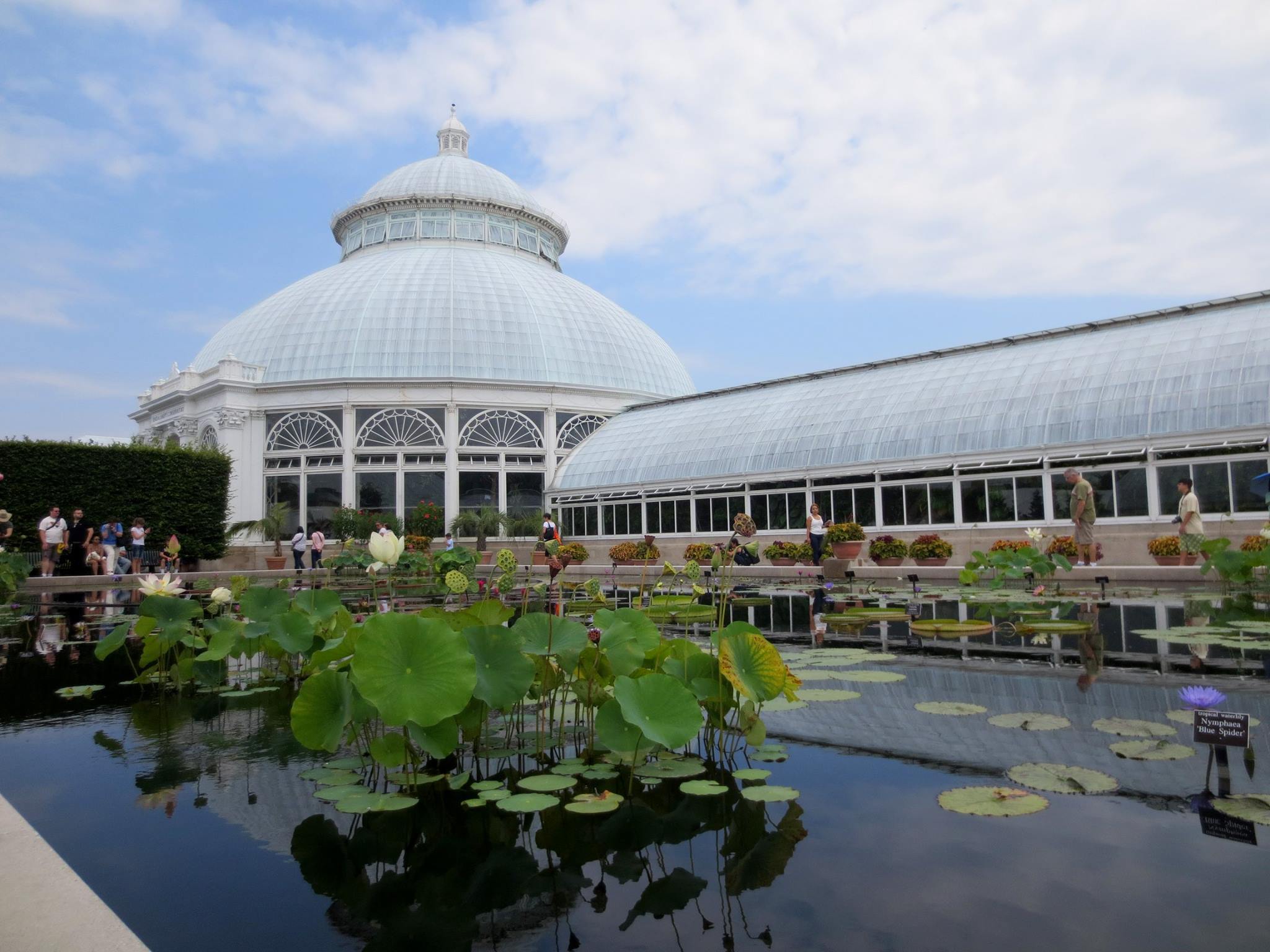 The Conservatory Pond