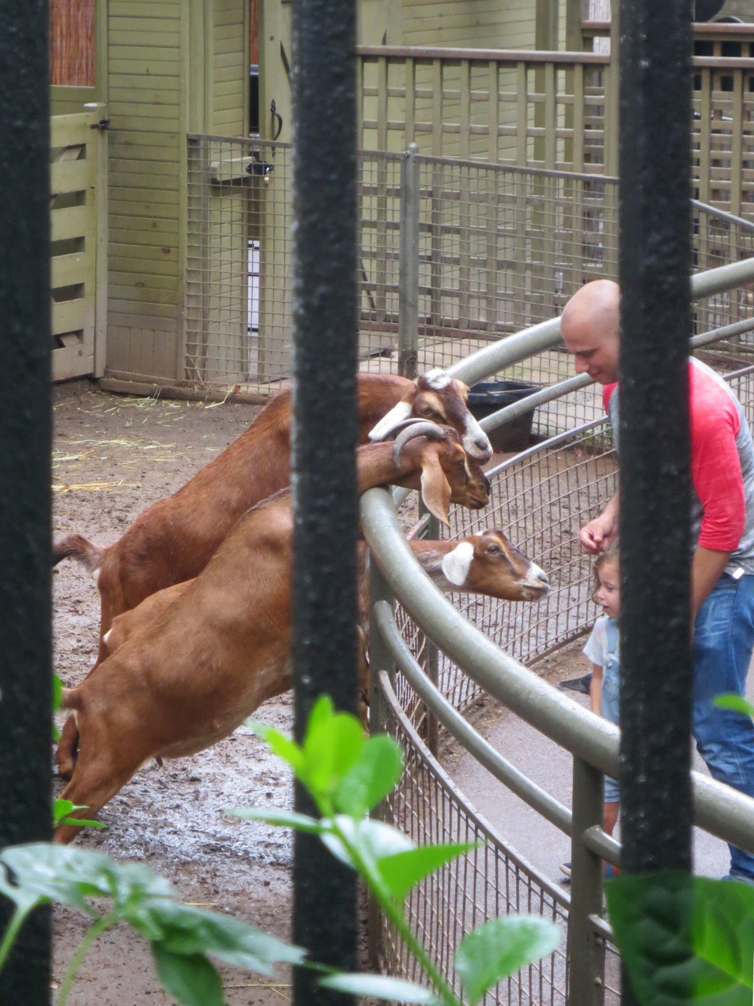 Central Park Zoo