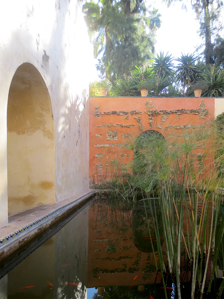 Papyrus Plants in a Pond