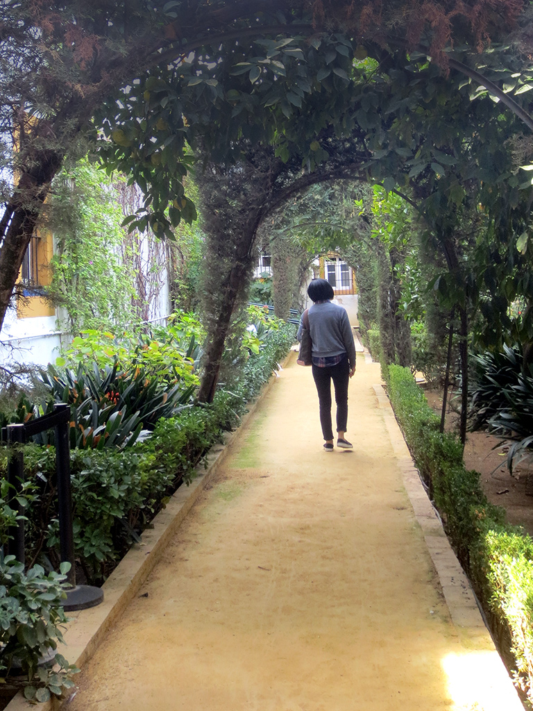 Cedar arbour in the Patio de los Limones