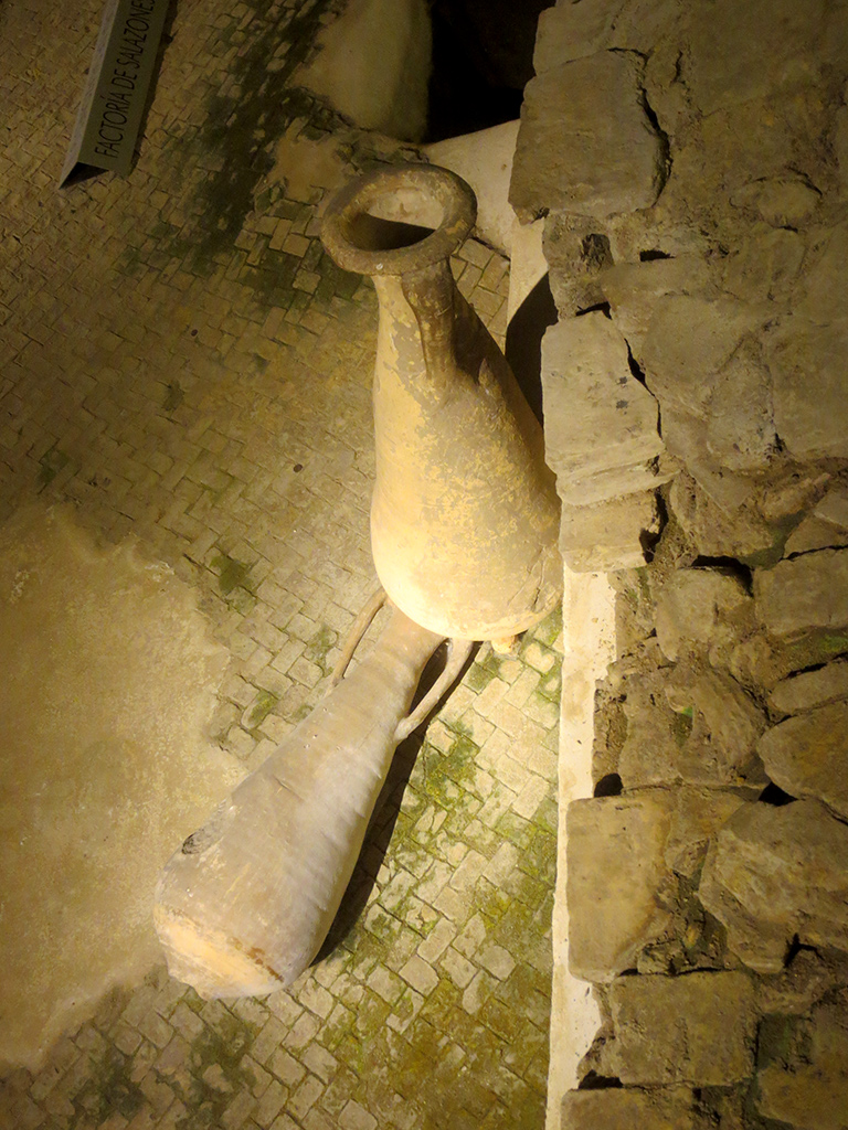 Roman Amphoras for Salted Fish