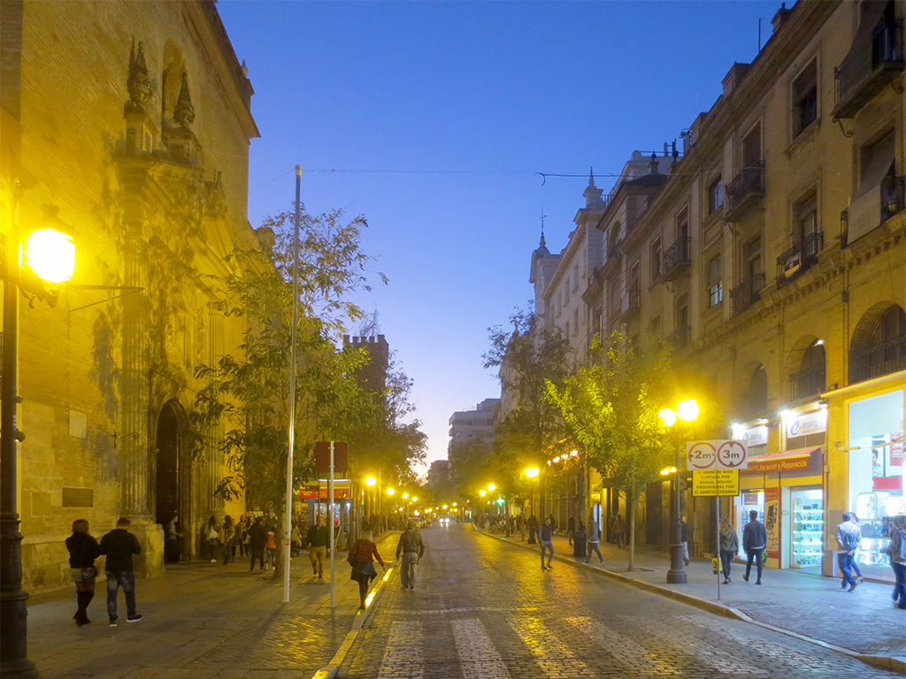 Calle Laraña