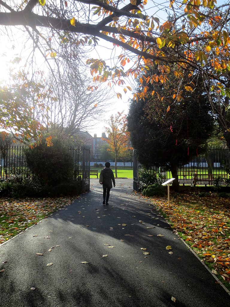 The Trinity College Grounds