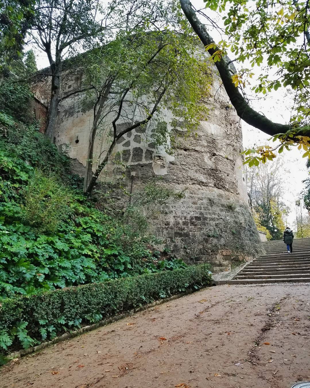 Along Cuesta de Gomérez