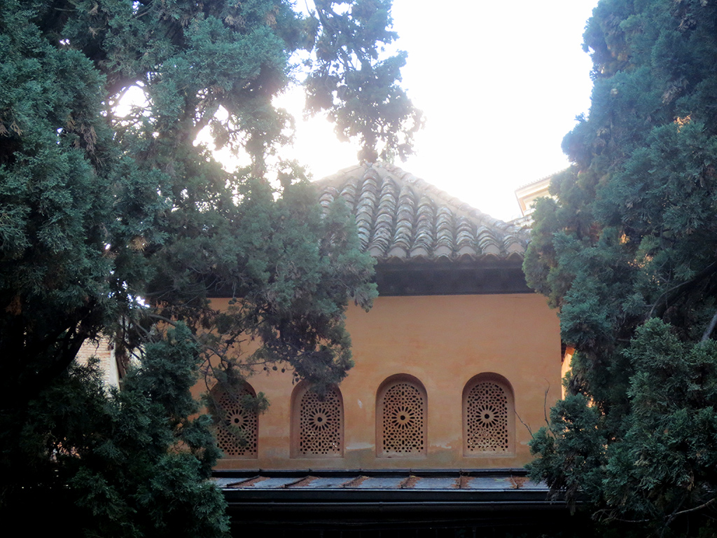 Alhambra Trees