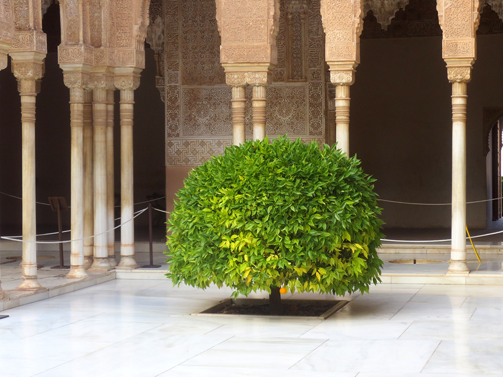 Patio de los Leones