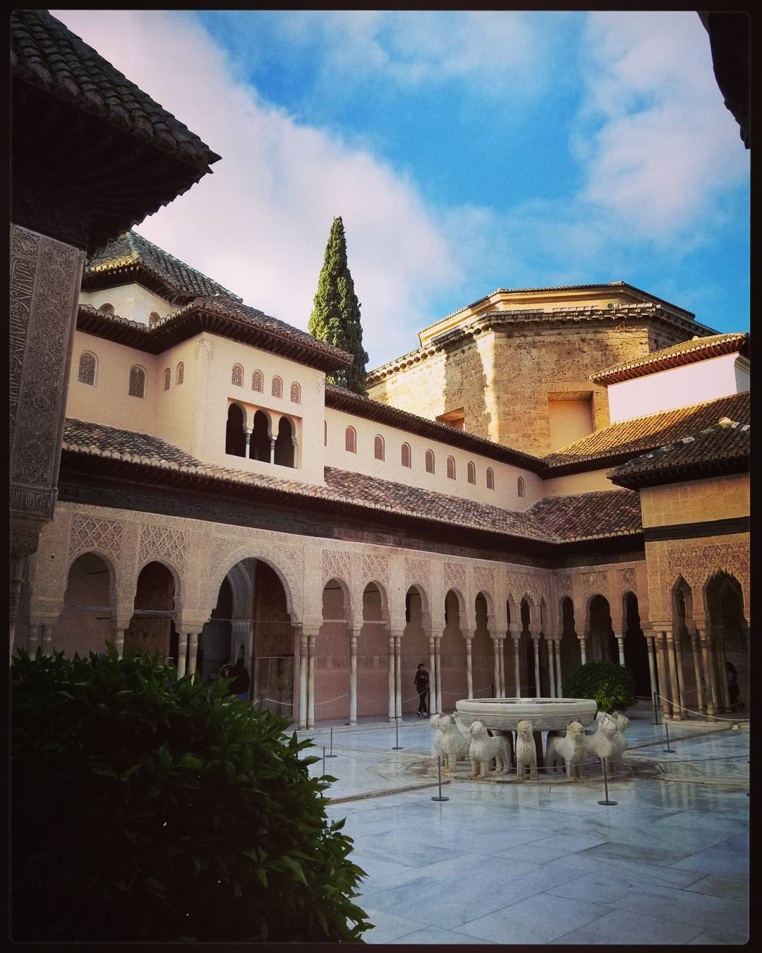 Patio de los Leones (Patio of the Lions)