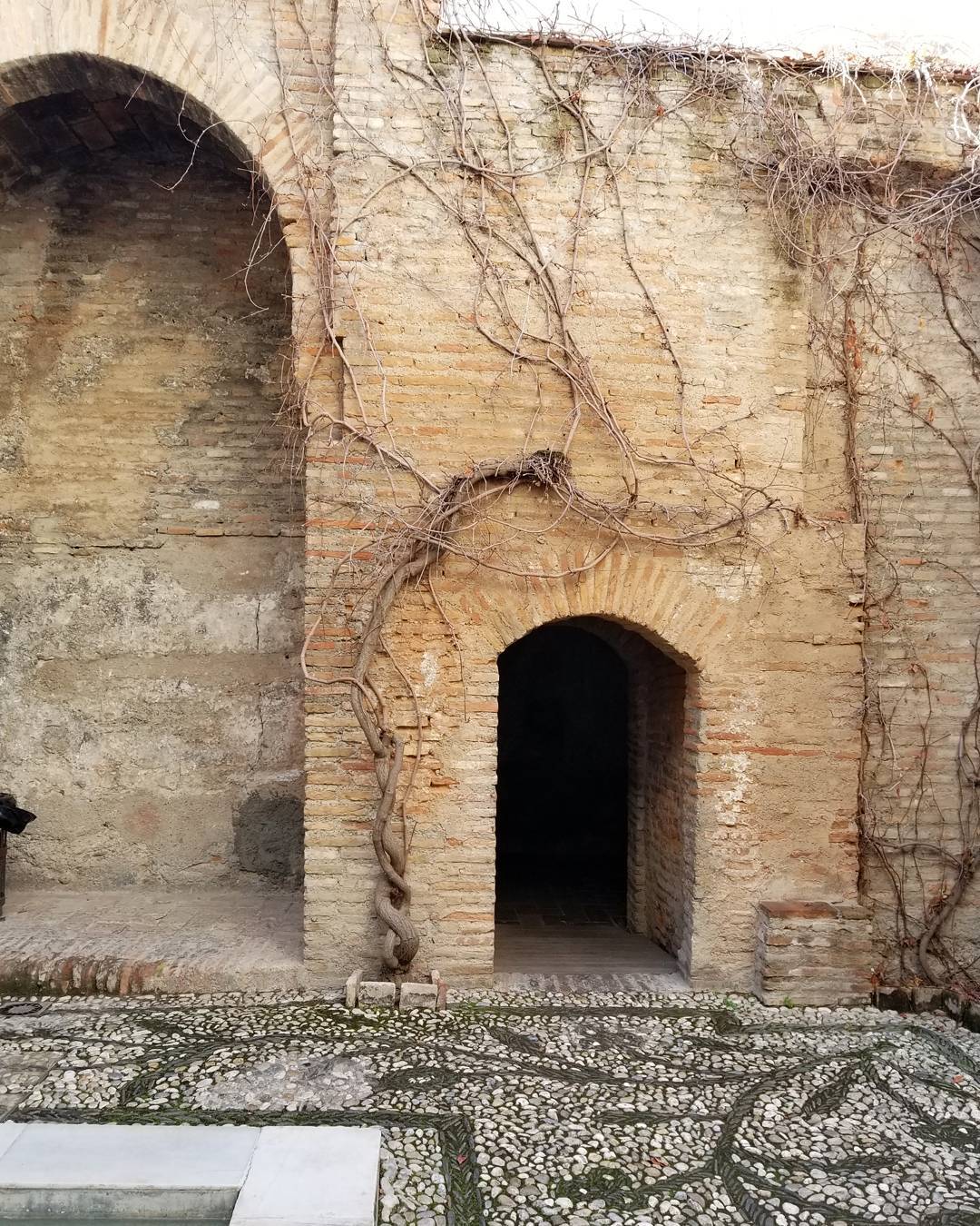 Bañuelo Entrance Door