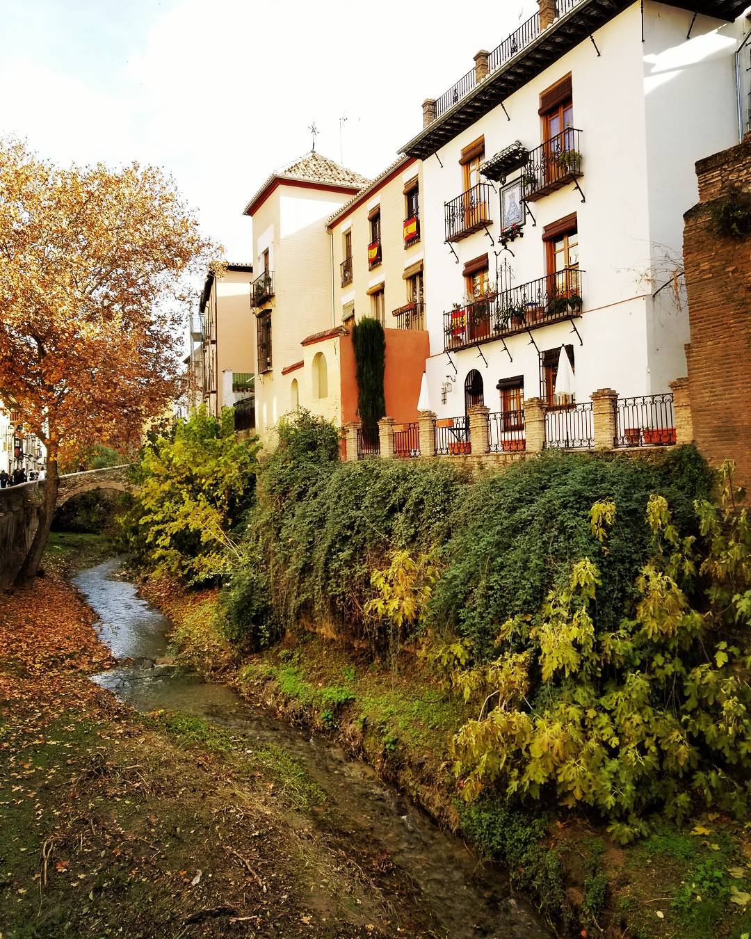 Banks of the Darro