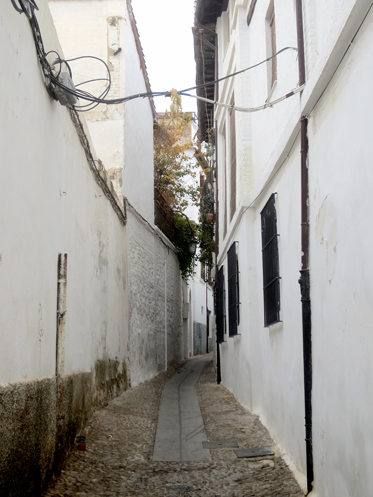 Typical Albaicín Street