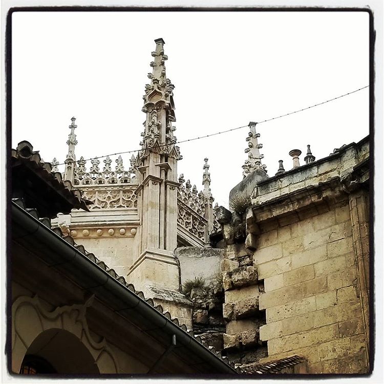 Part of the Cathedral Exterior