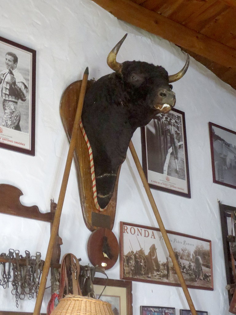 Molino El Vinculo Bull's Head