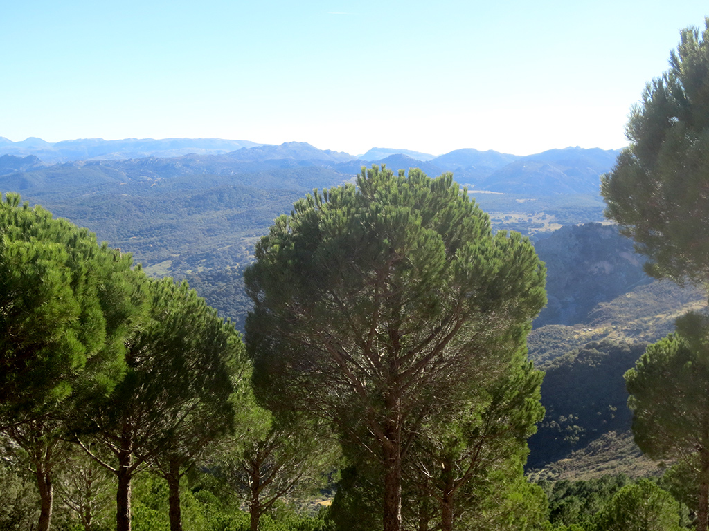 Grazalema View