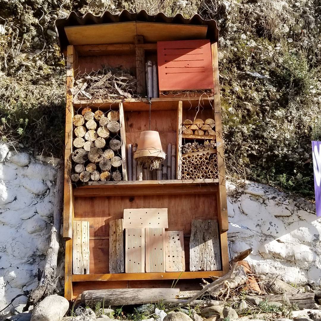 And "Insect Hotel"
