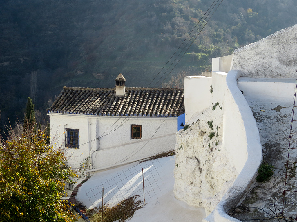 Sacromonte Views