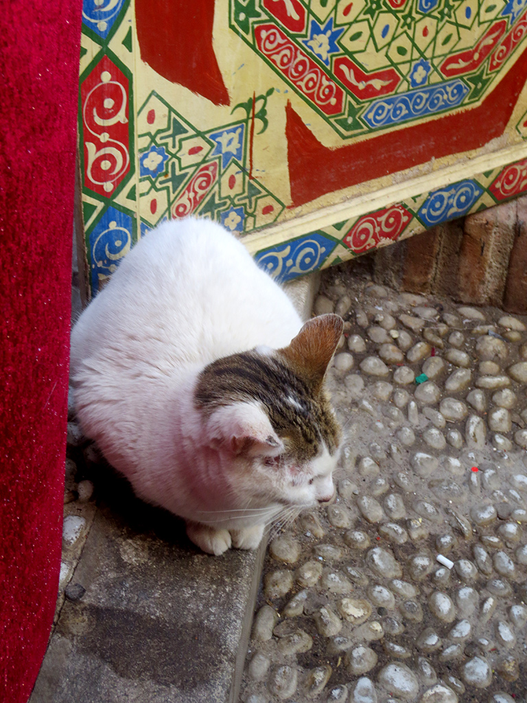 Calle Calderería Nueva Cat