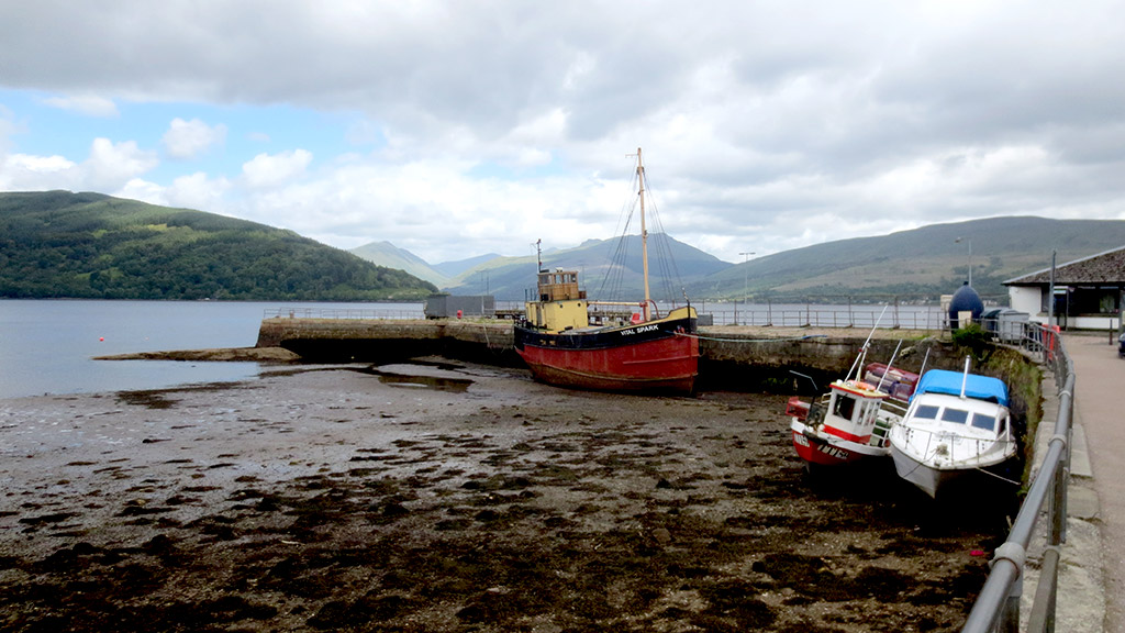 Harbour Boats