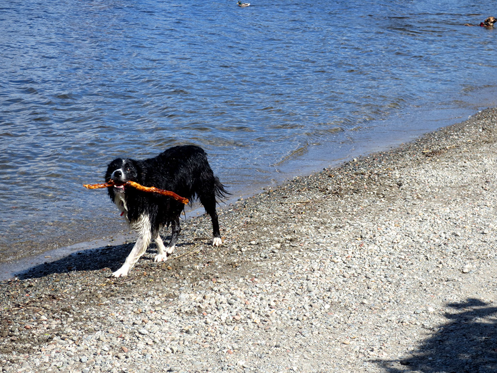 Loch Lamond