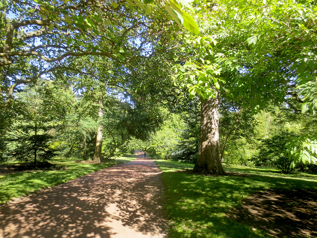 Botanic Garden Path